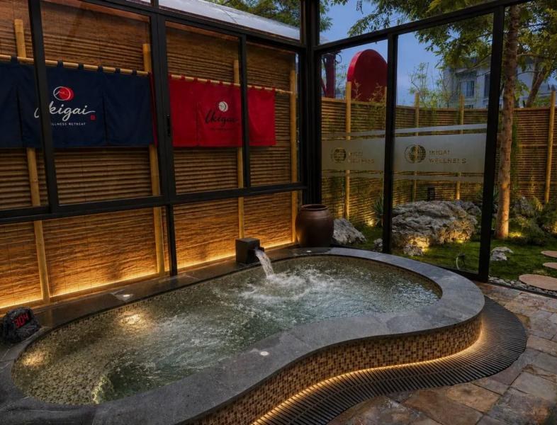 Ikigai Wellness Retreat Ba Vì